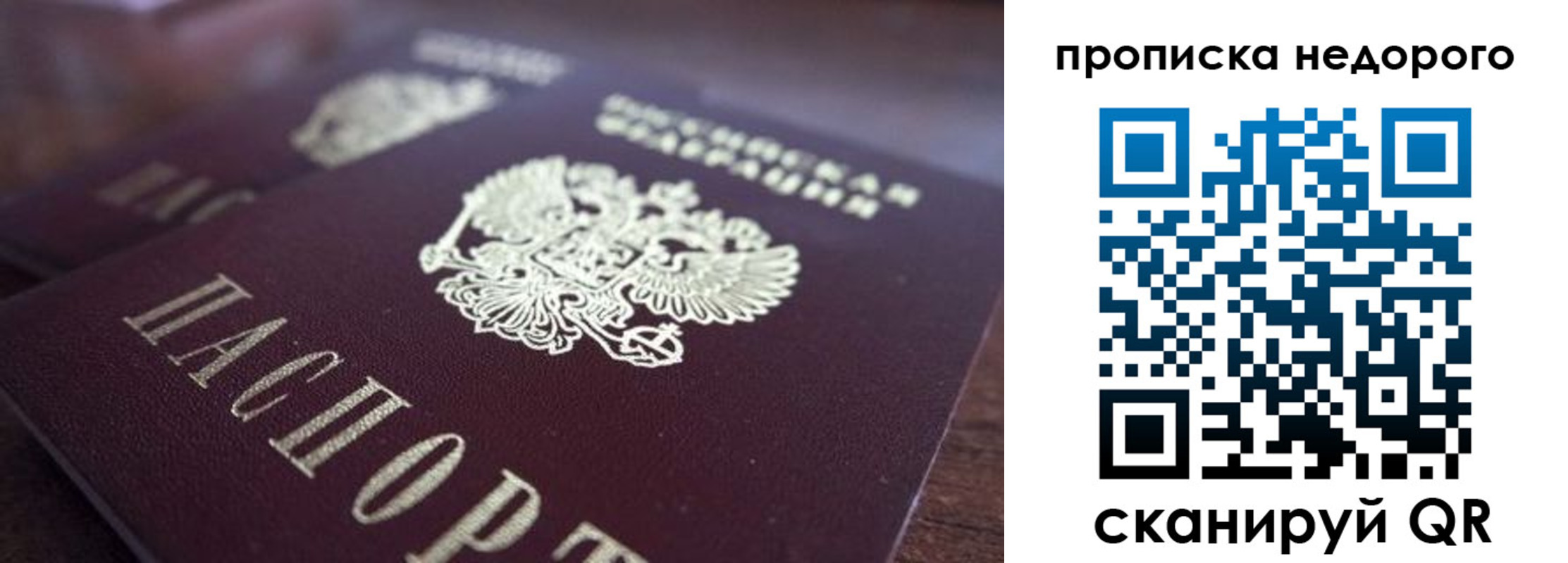 прописка штамп в Фокино